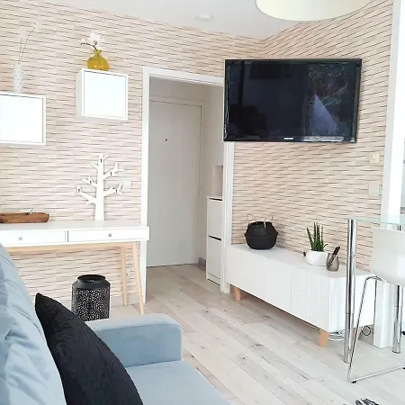 Bel Design Entierement Equipe
